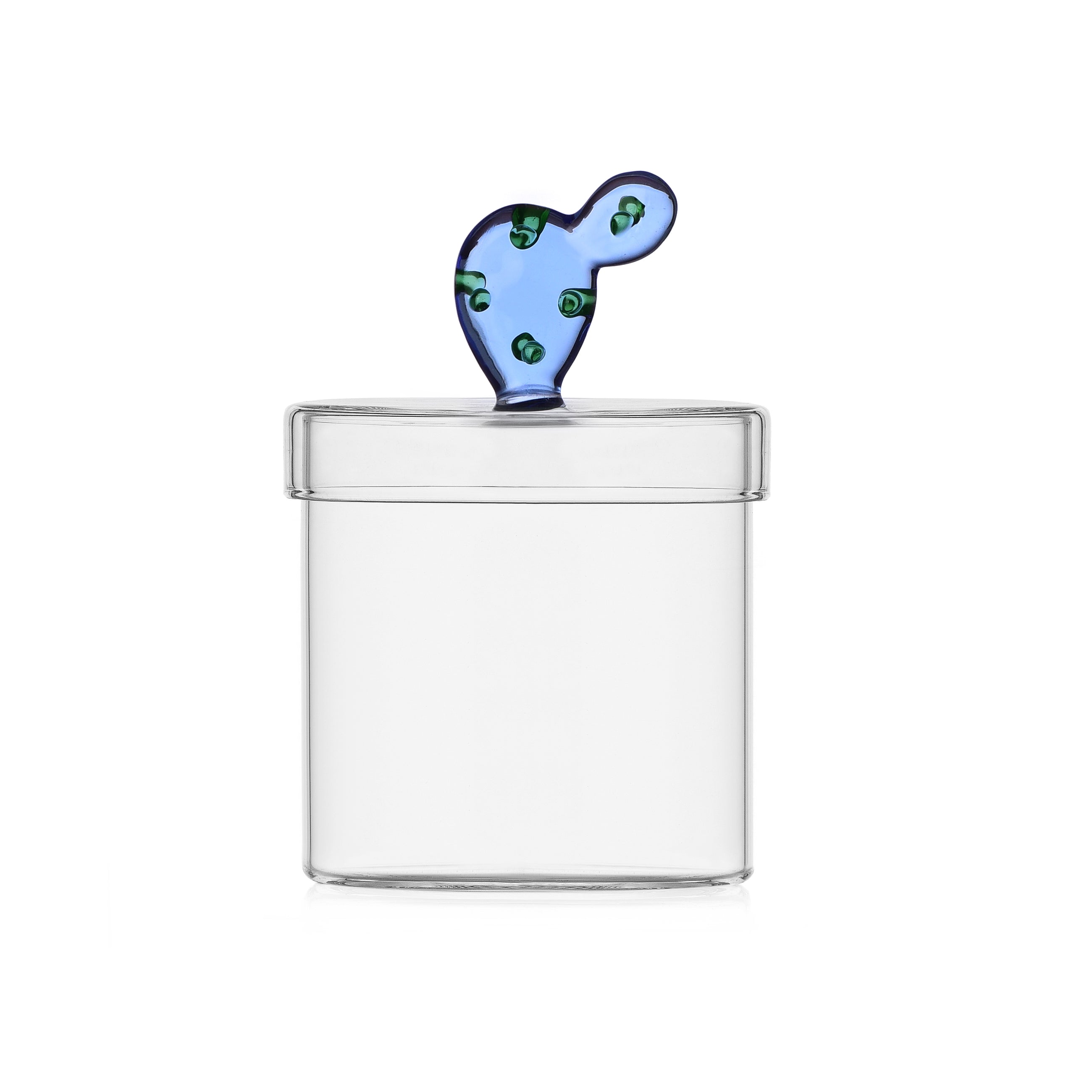 ICHENDORF Desert Plants box cactus blue