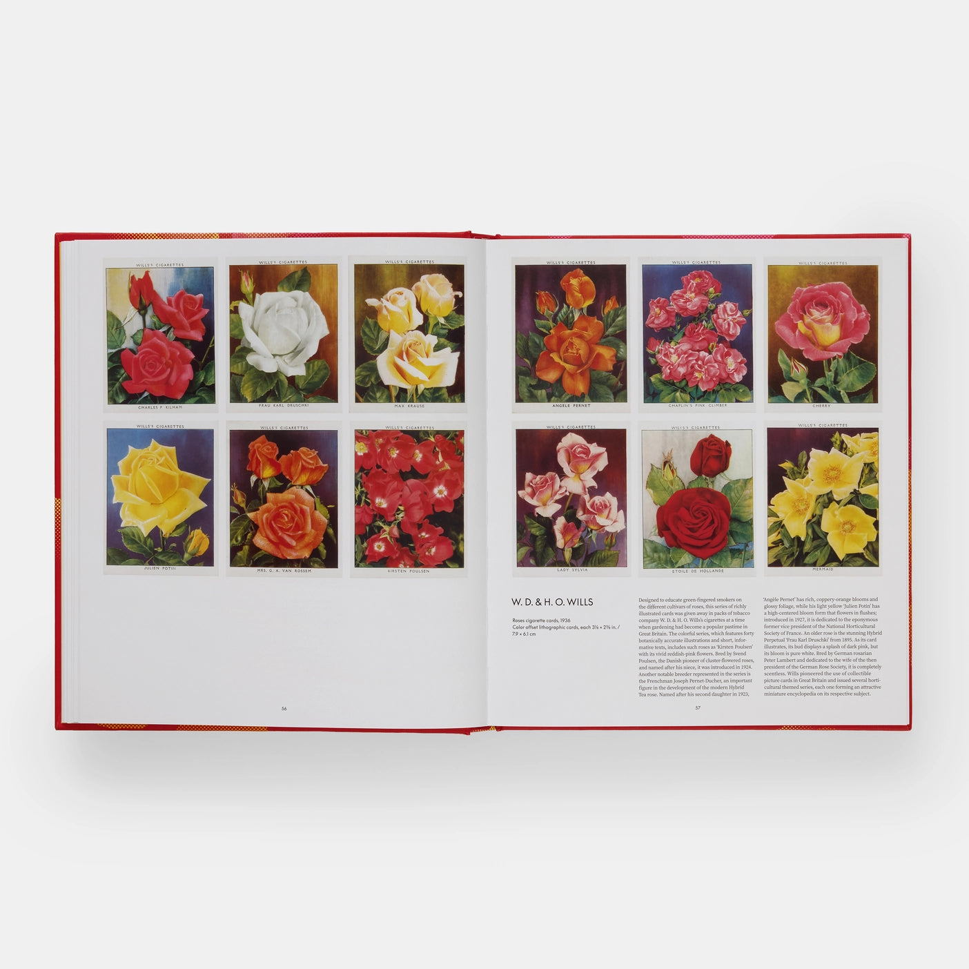 PHAIDON Rose book