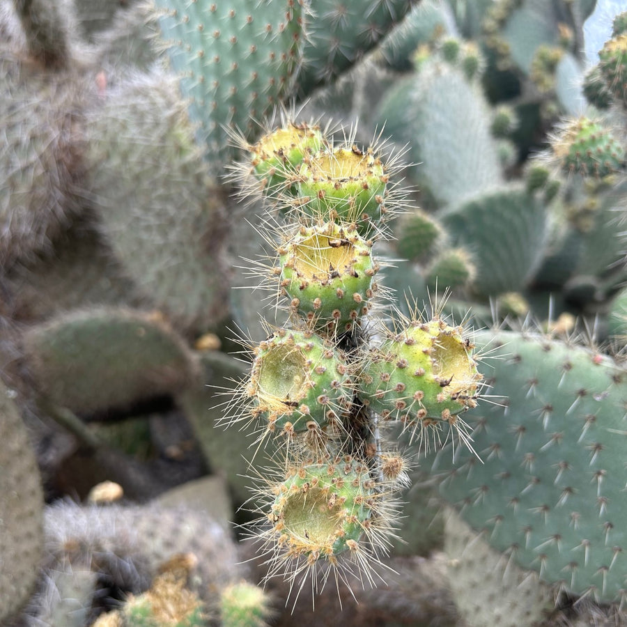 Nature and its treasures
