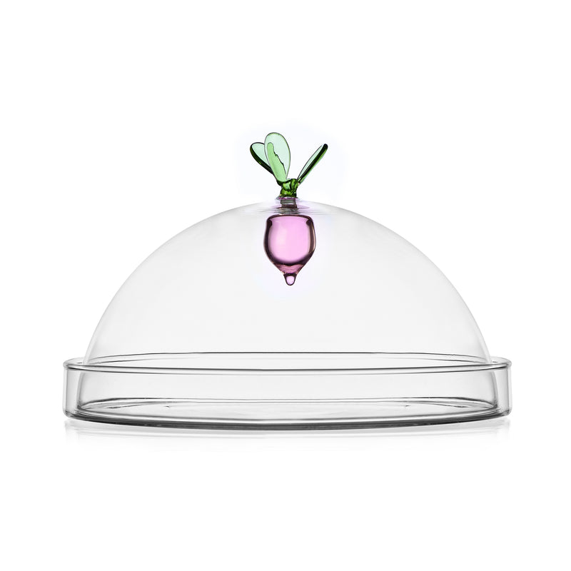 ICHENDORF Vegetables Dome Onion