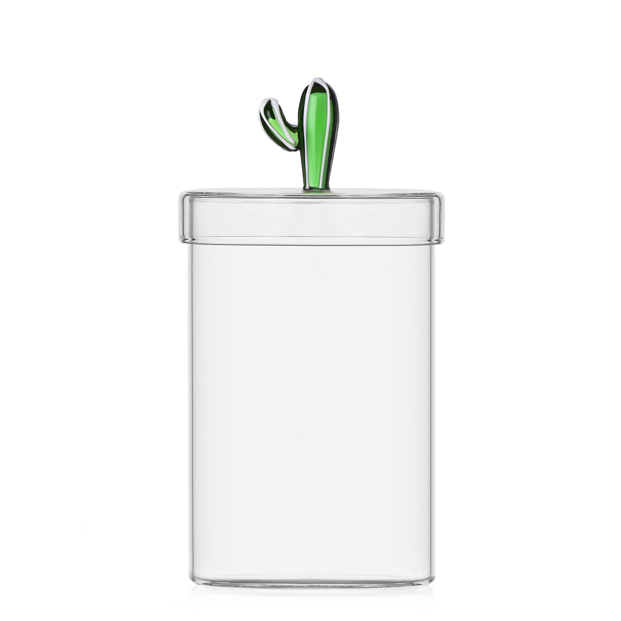 ICHENDORF Desert Plants box cactus green
