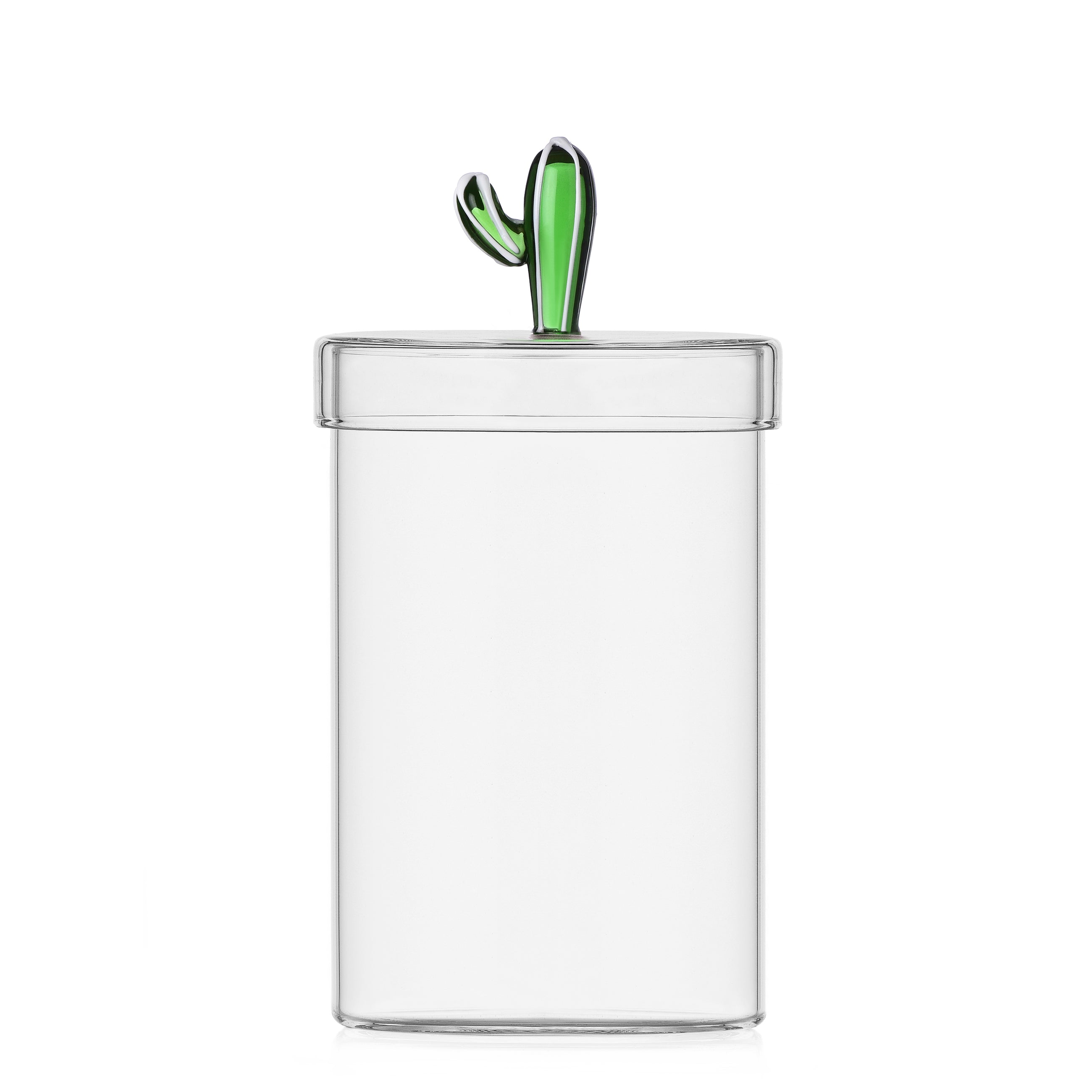 ICHENDORF Desert Plants box cactus green