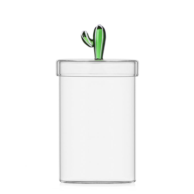ICHENDORF Desert Plants box cactus green