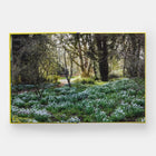 PHAIDON Year in Bloom
