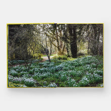 PHAIDON Year in Bloom