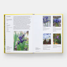 PHAIDON Year in Bloom